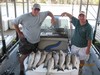 (09/17/2015) - Nice Striped Bass